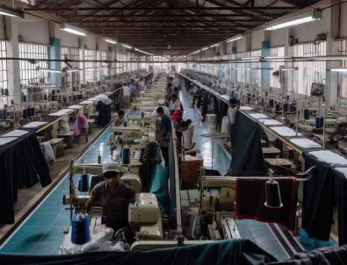 Sustainability & Labor Compliance Programs